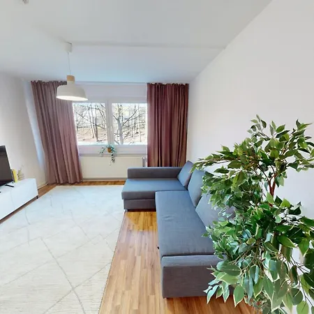 Komfortabel Wohnen Für 5 Personen, Wlan Apartamento Chemnitz